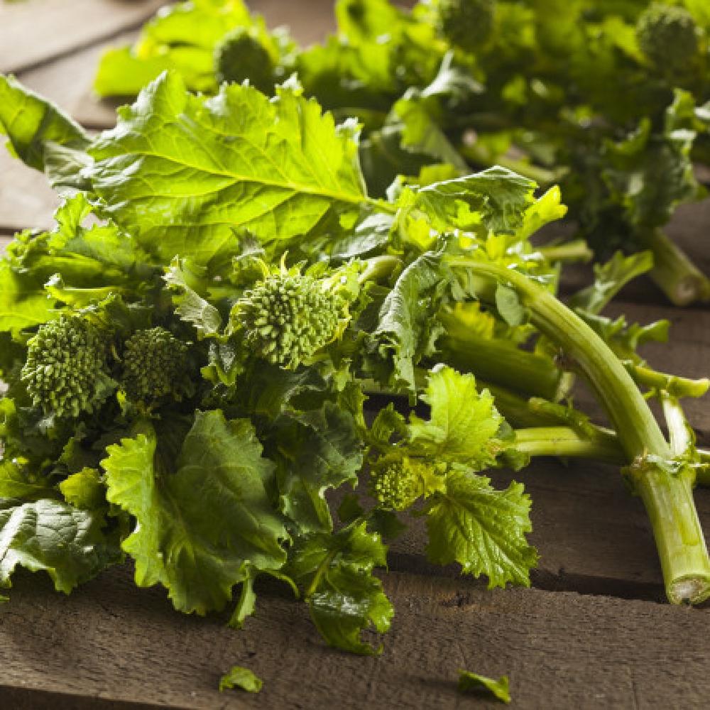 Broccoli-Raab Seeds - Spring Rapini