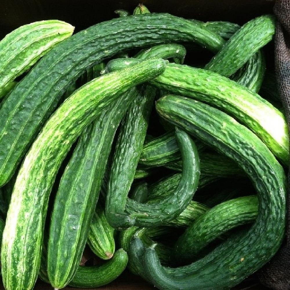 Cucumber Seeds - Suyo Long