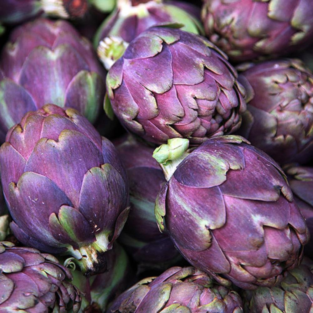 Artichoke Seeds - Purple Italian Globe