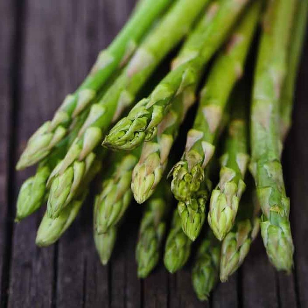 Asparagus Seeds - UC 72
