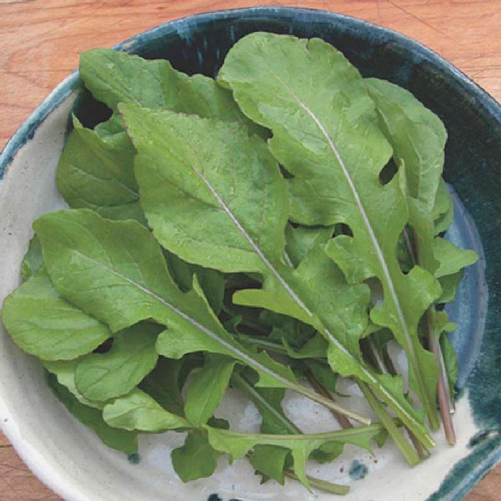 Arugula Seeds - Rocket