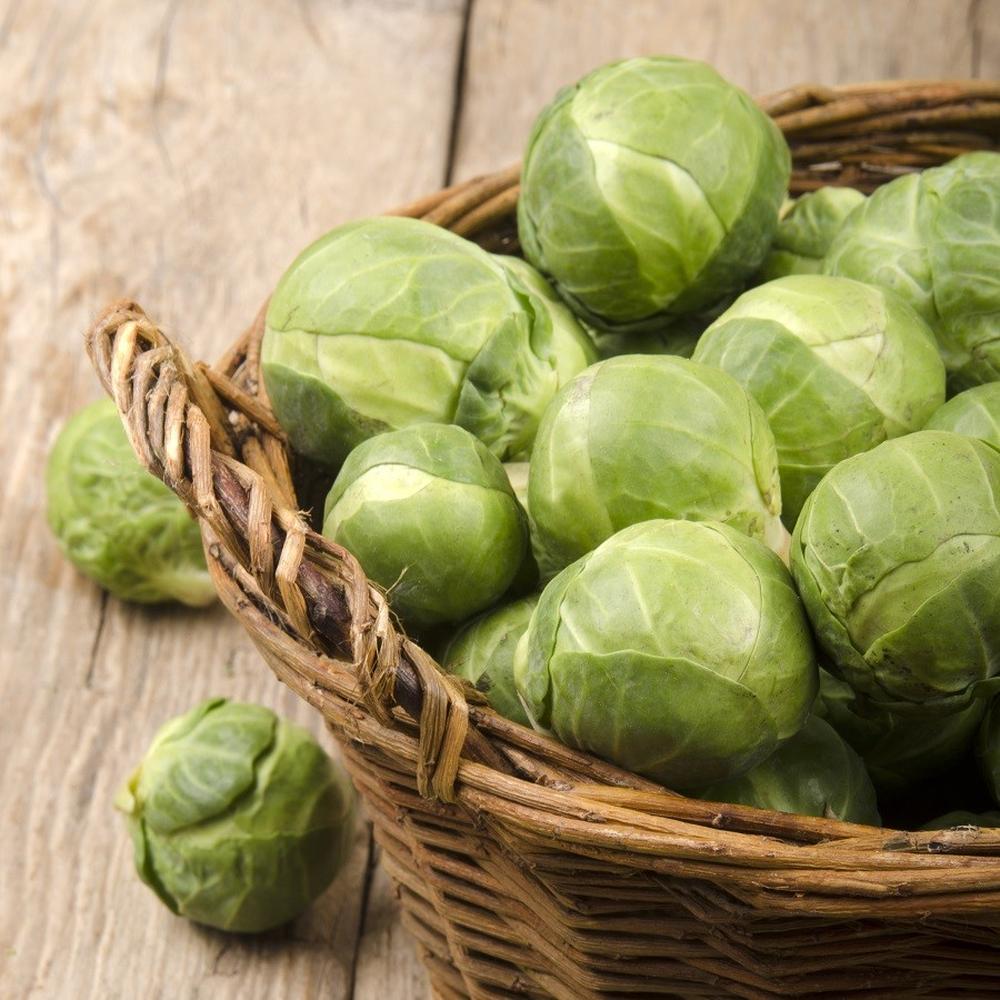 Brussels Sprouts Seeds - Catskill