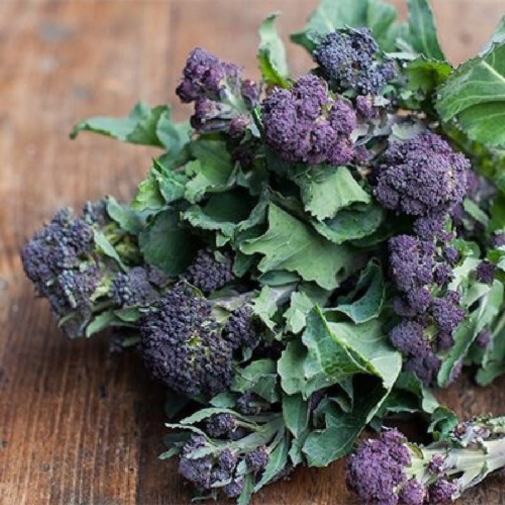 Broccoli Seeds - Purple Sprouting