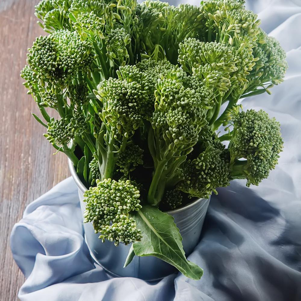 Broccoli Seeds (Organic) - Waltham 29
