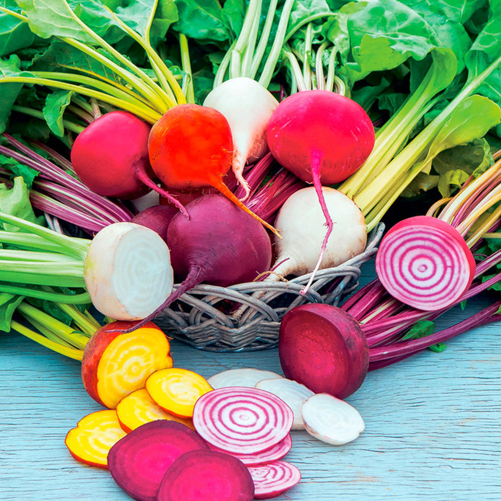 Beet Seeds - Rainbow Mix
