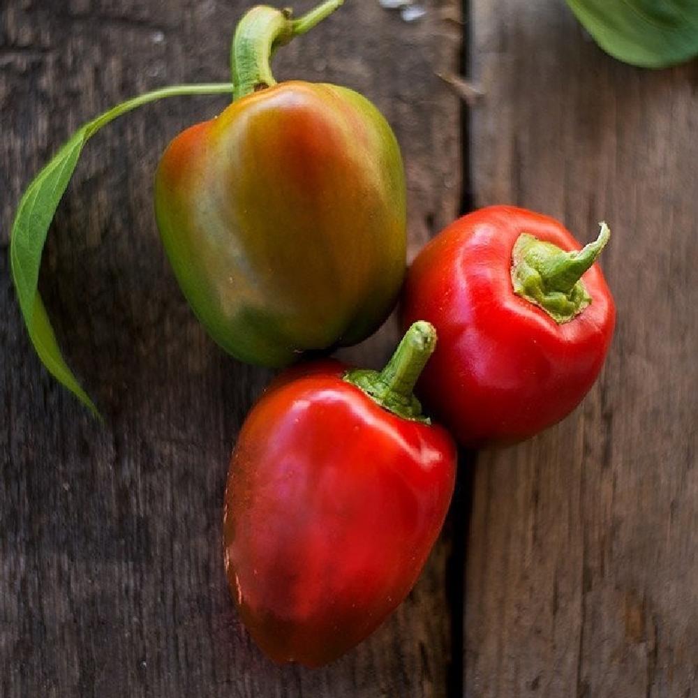 Sweet Pepper Seeds - Pimento