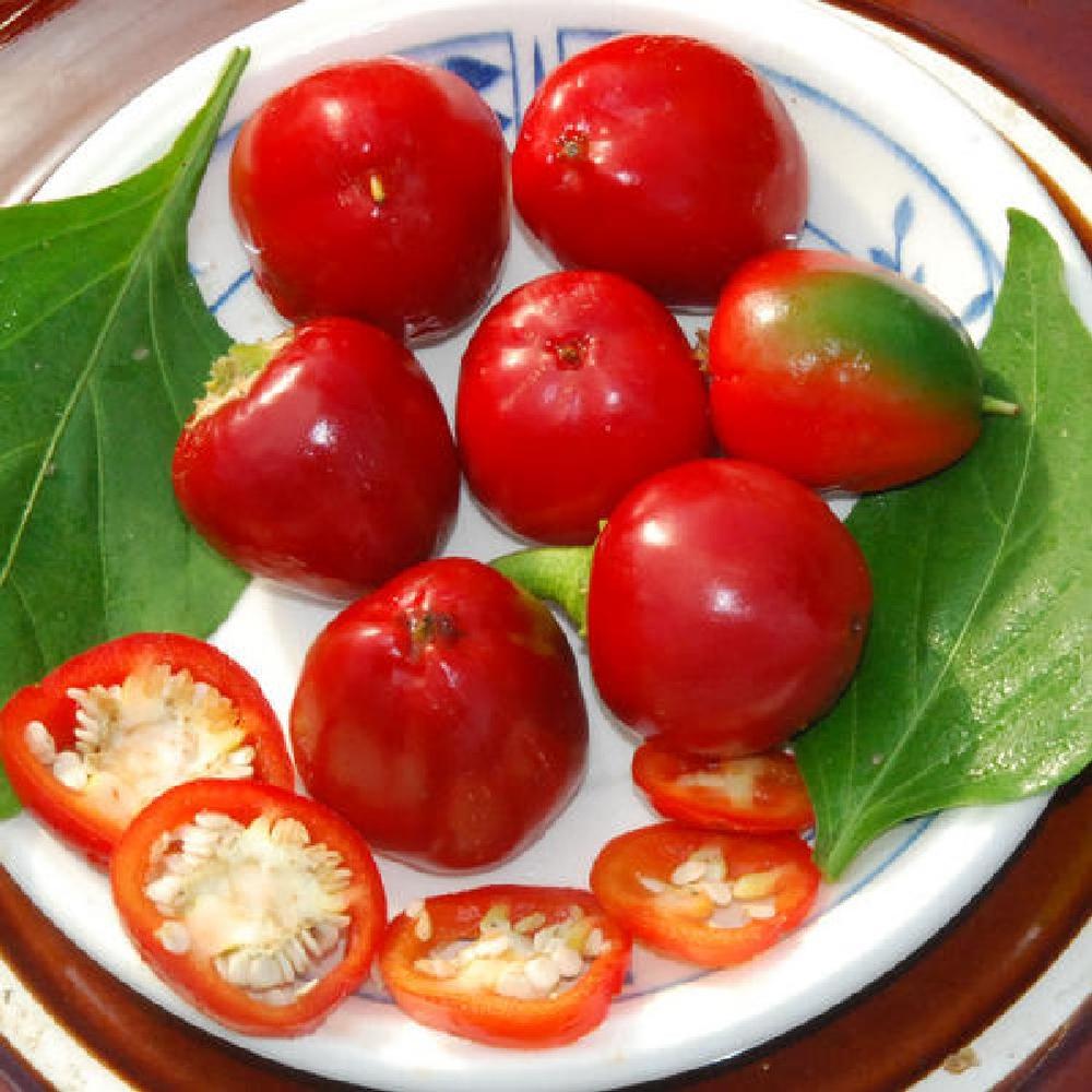Sweet Pepper Seeds - Red Cherry Sweet