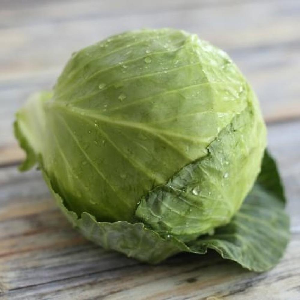 Cabbage Seeds - Golden Acre