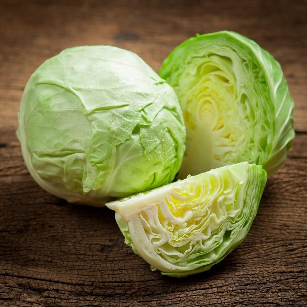 Cabbage Seeds - Late Flat Dutch