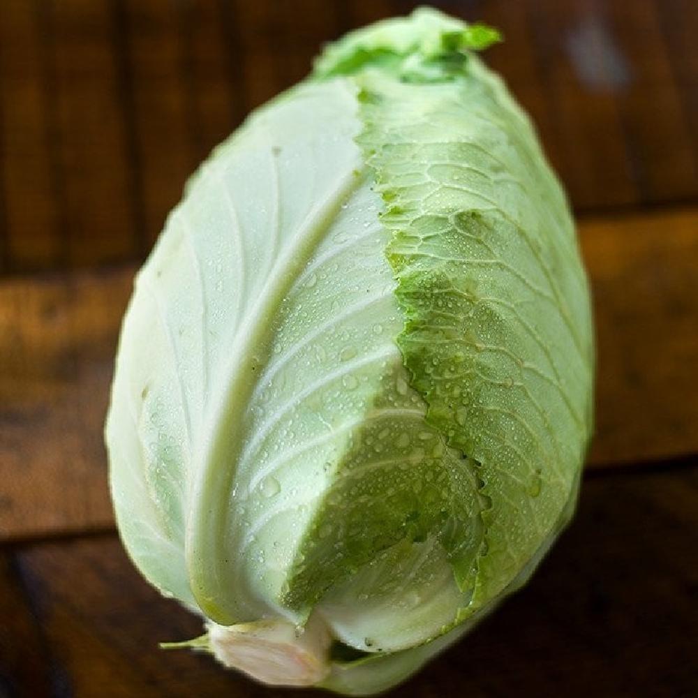 Cabbage Seeds - Charleston Wakefield