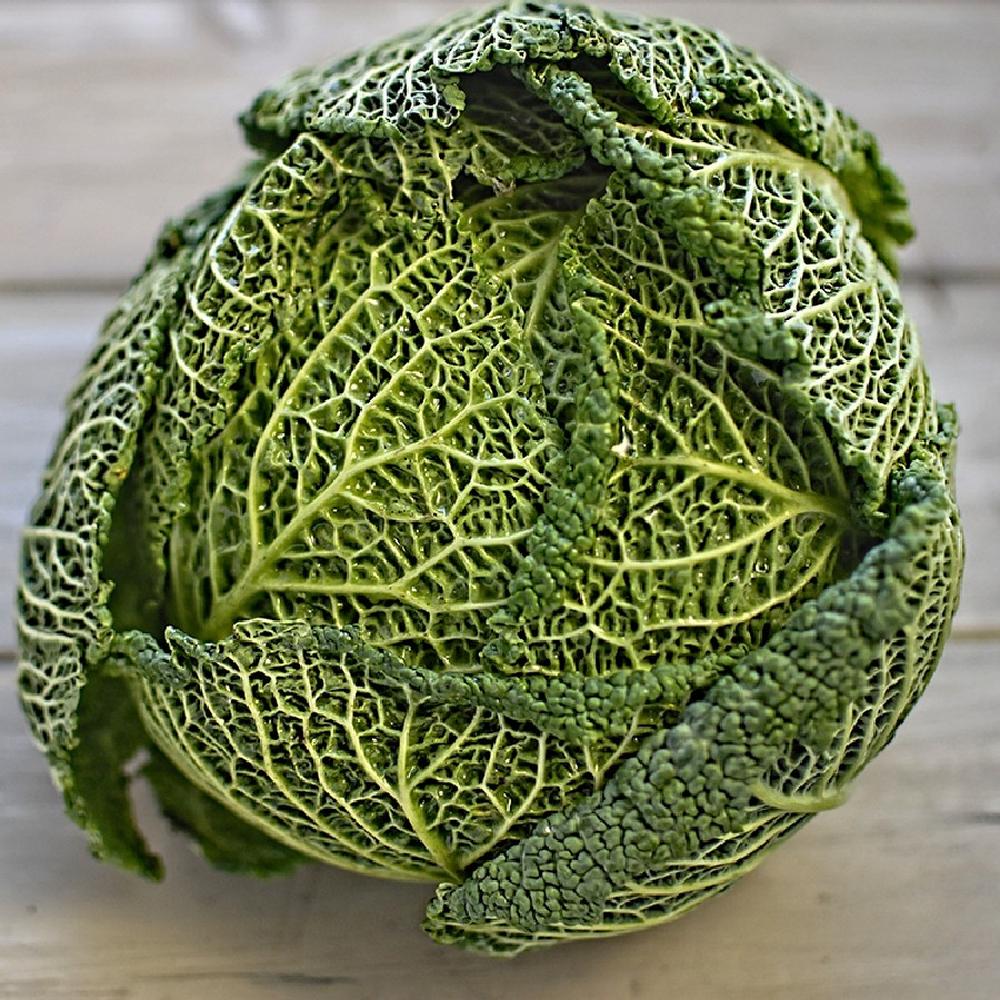 Cabbage Seeds - Savoy