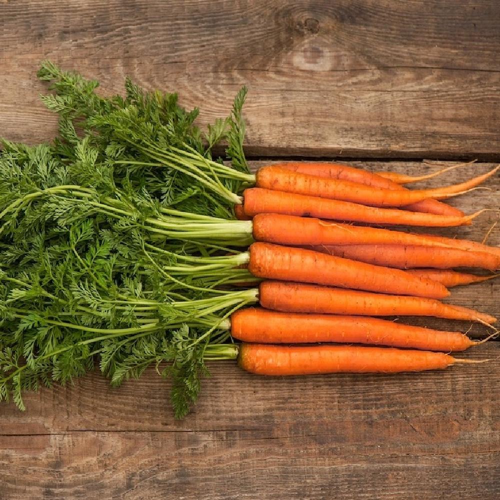 Carrot Seeds - Scarlet Nantes