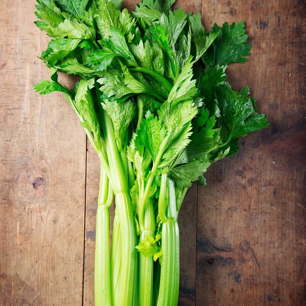 Celery Seeds - Tall Utah 52-70