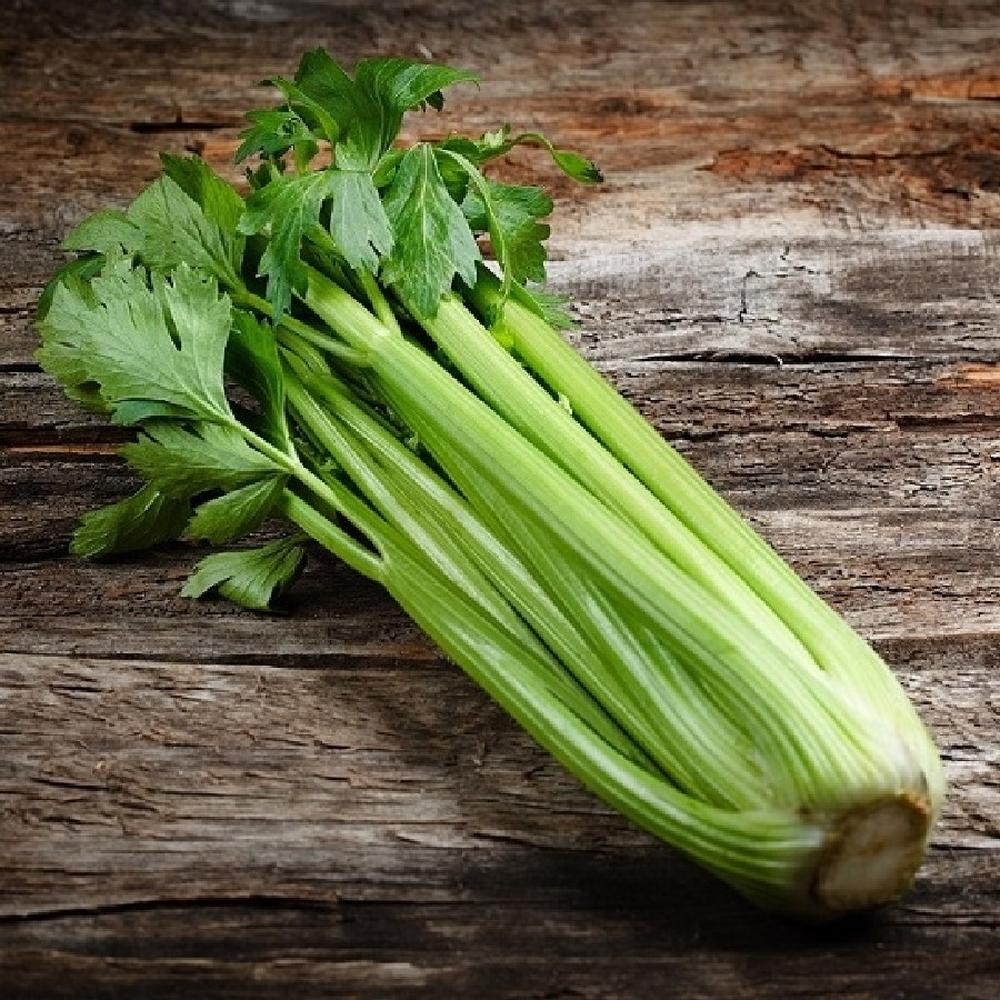 Celery Seeds - Pascal