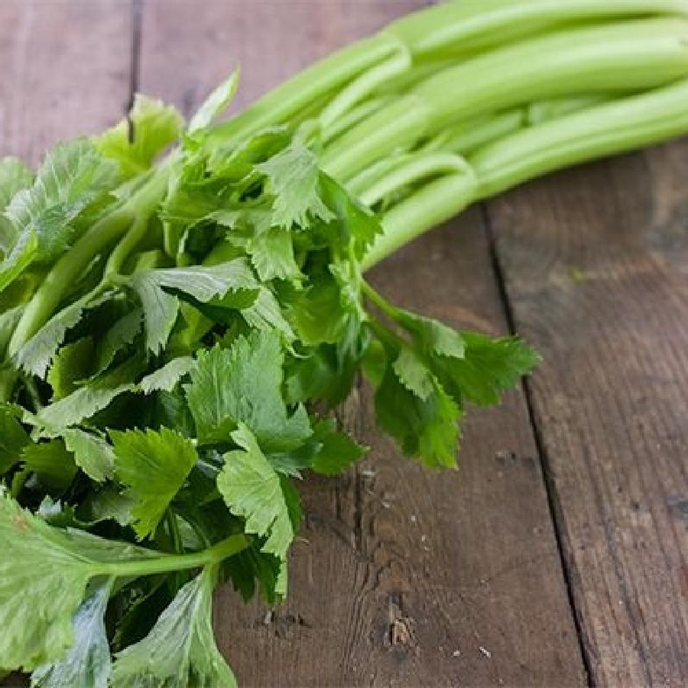 Celery Seeds (Organic) - Tall Utah