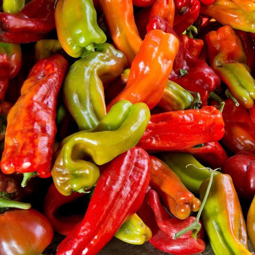 Hot Pepper Seeds (Organic) - Anaheim Chili