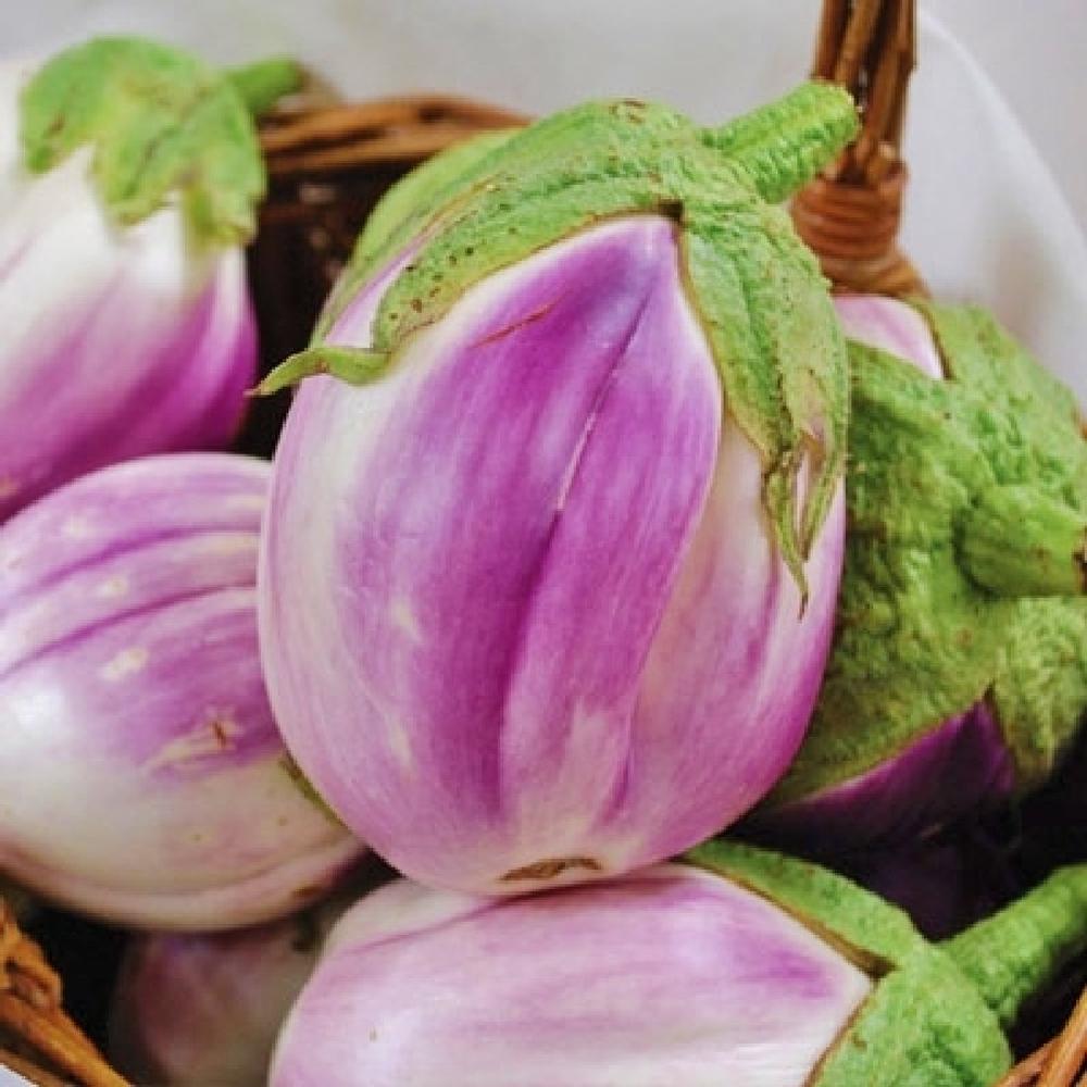 Eggplant Seeds - Rosa Bianca