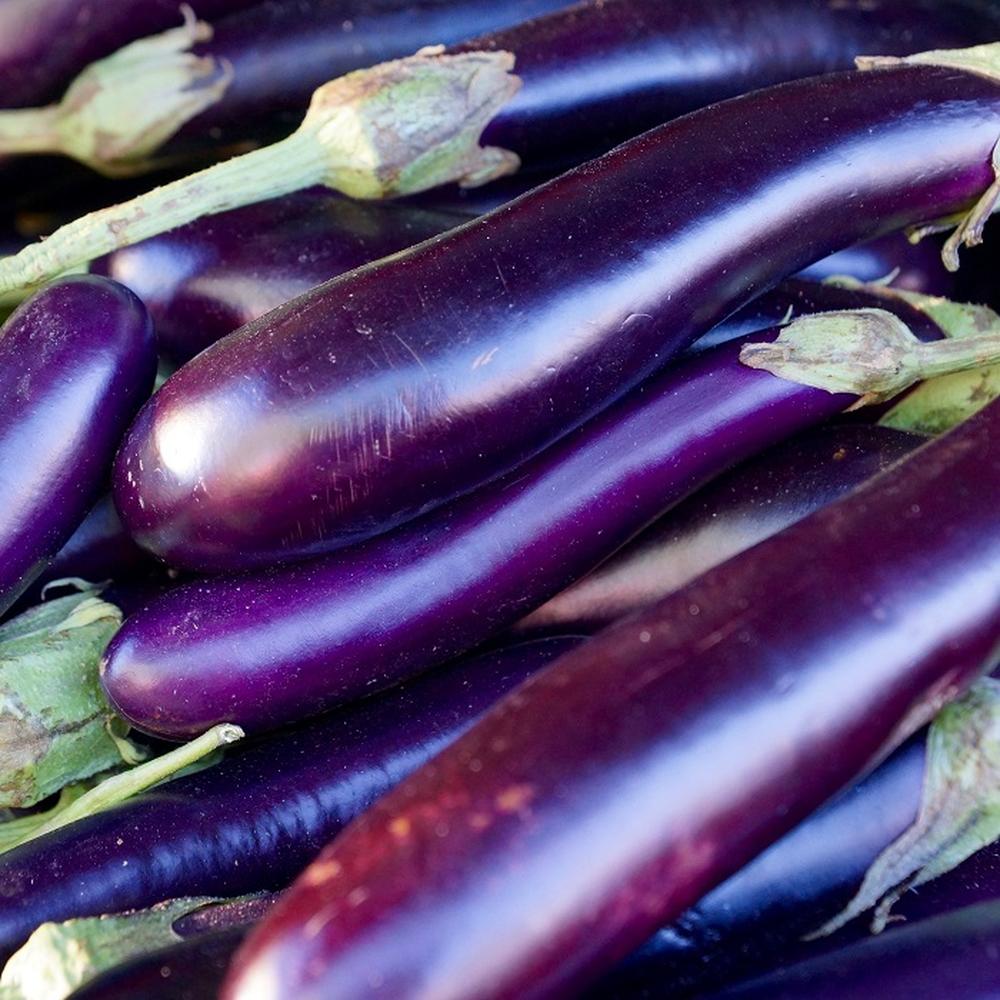 Eggplant Seeds (Organic) - Long Purple