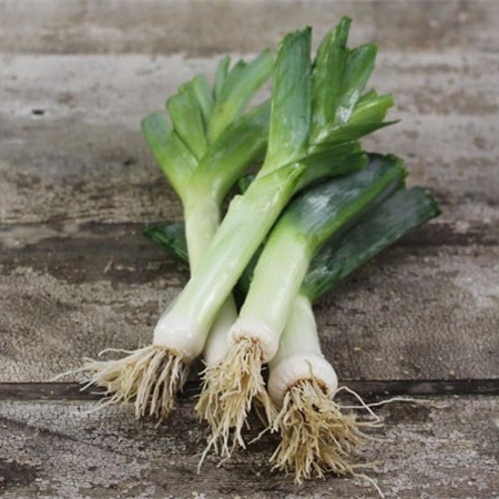 Leek Seeds (Organic) - American Flag