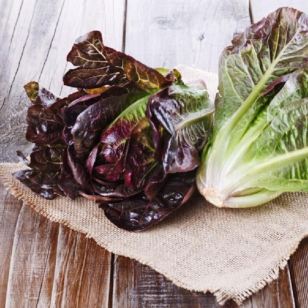 Lettuce Seeds - Red Romaine