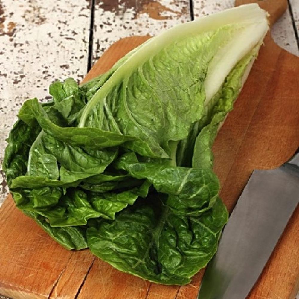 Lettuce Seeds (Organic) - Parris Island Cos