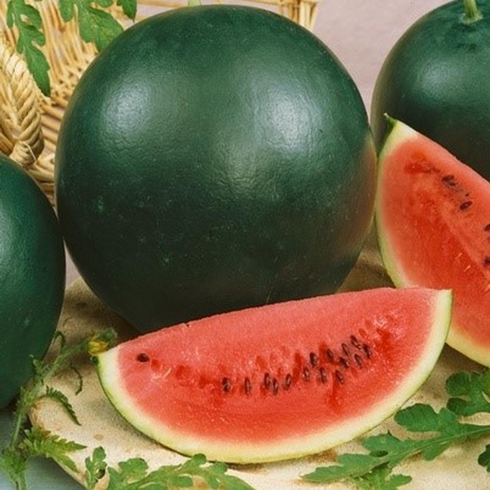 Watermelon Seeds (Organic) - Sugar Baby