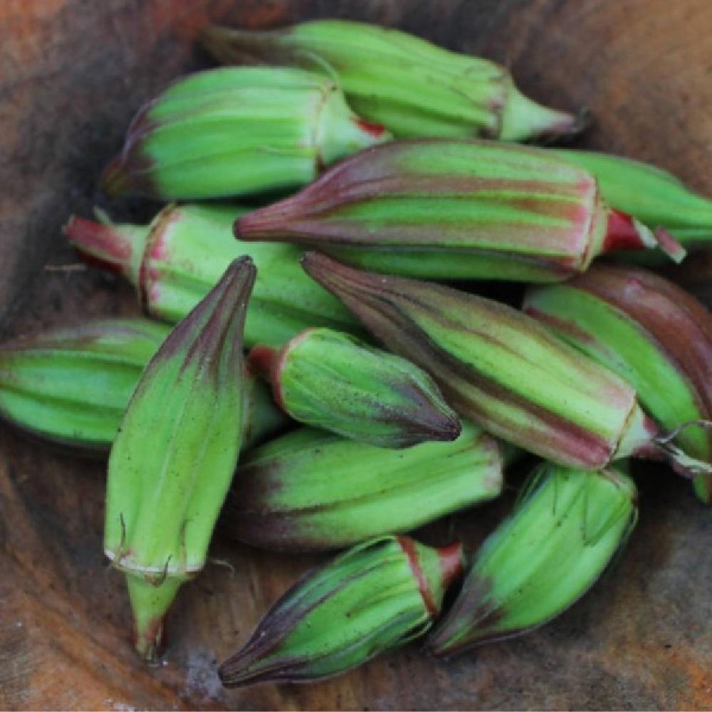 Okra Seeds - Hill Country Red
