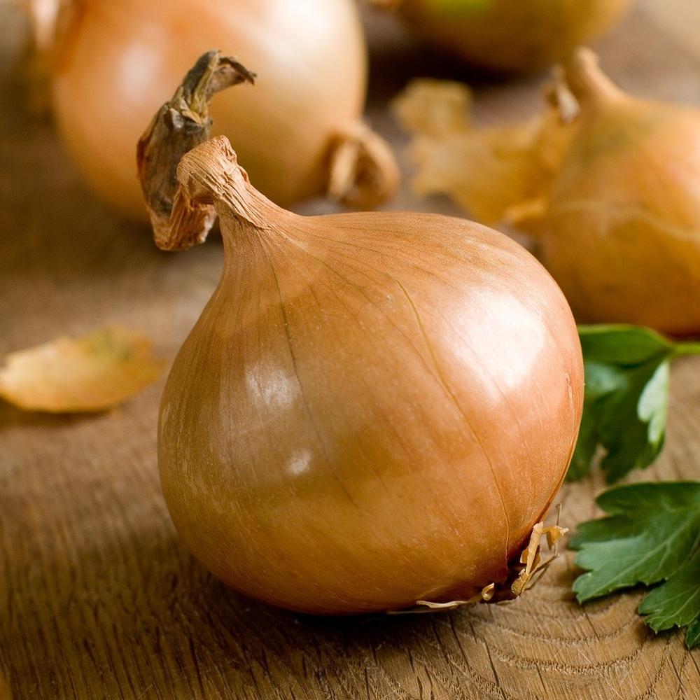 Onion Seeds (Organic) - Texas Early Grano