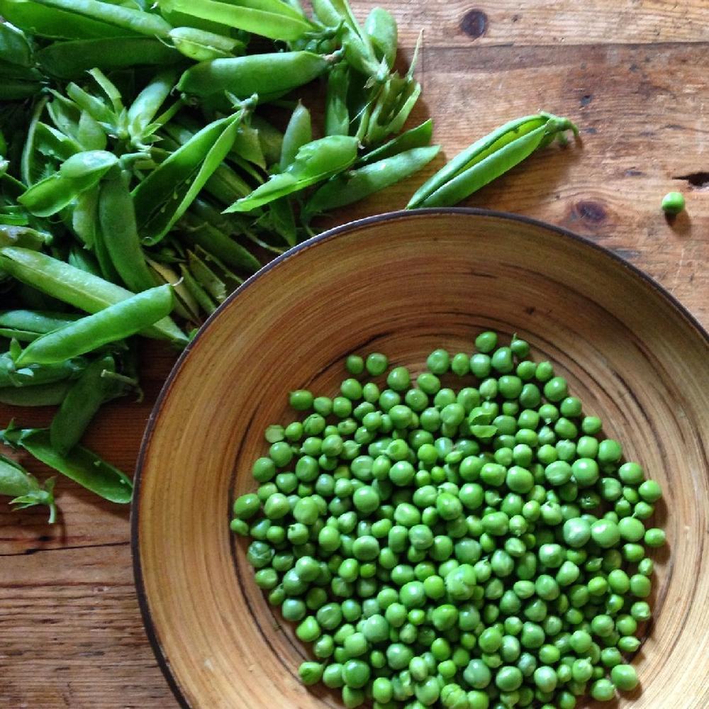 Pea Seeds - Wando
