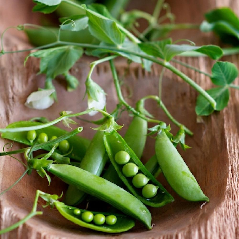 Pea Seeds - Little Marvel