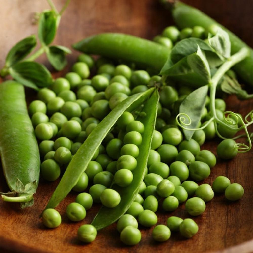 Pea Seeds - Thomas Laxton