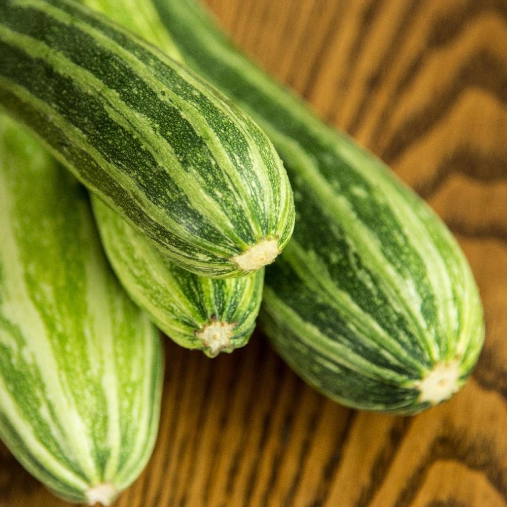 Squash (Summer) Seeds - Cocozelle