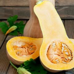 Squash (Winter) Seeds - Waltham Butternut