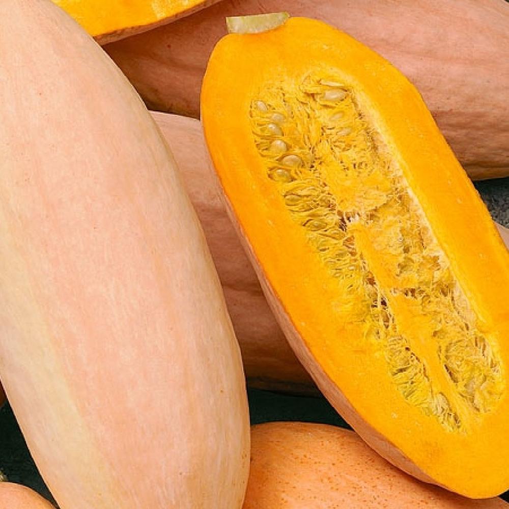 Squash (Winter) Seeds - Pink Banana Jumbo