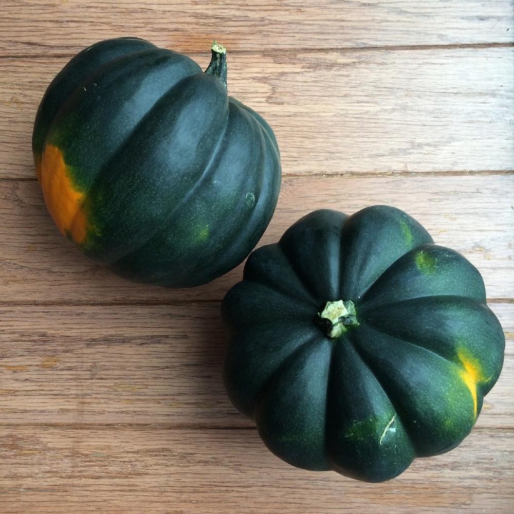 Squash (Winter) Seeds - Table King Bush