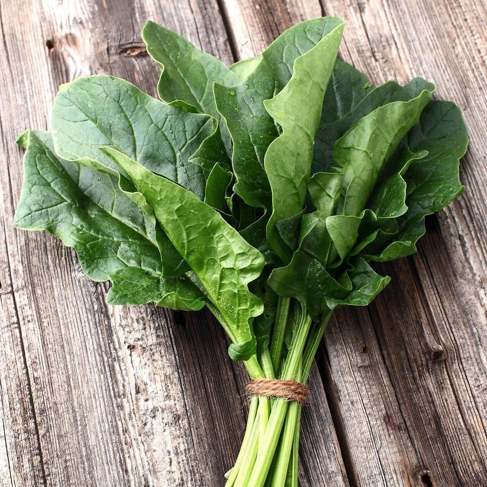 Spinach Seeds (Organic) - Bloomsdale Long Standing