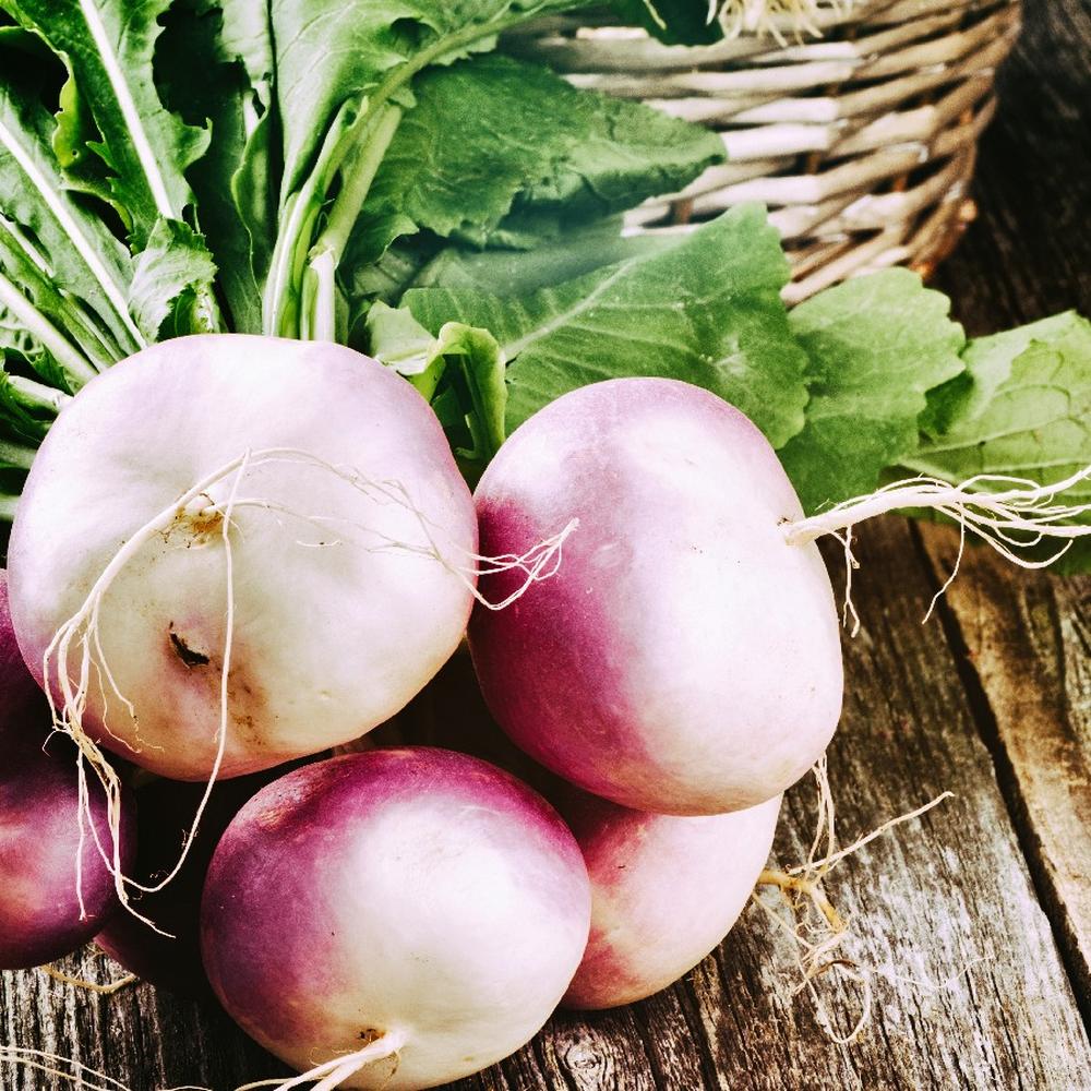 Turnip Seeds (Organic) - Purple Top White Globe