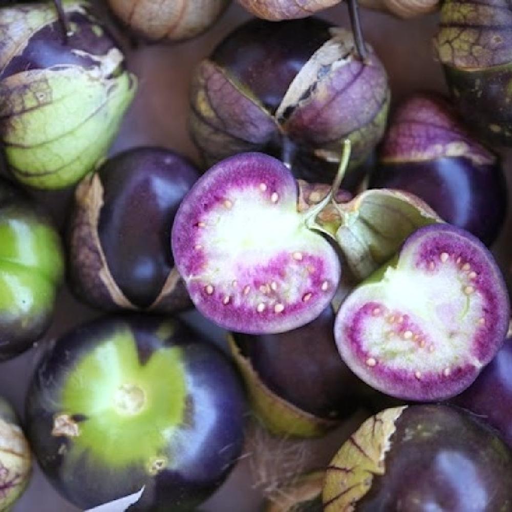 Tomatillo Seeds - Purple