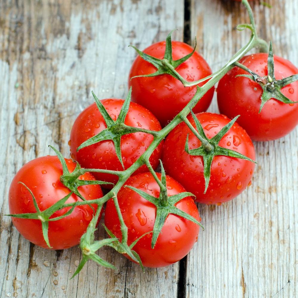 Tomato Seeds - Red Cherry - Large