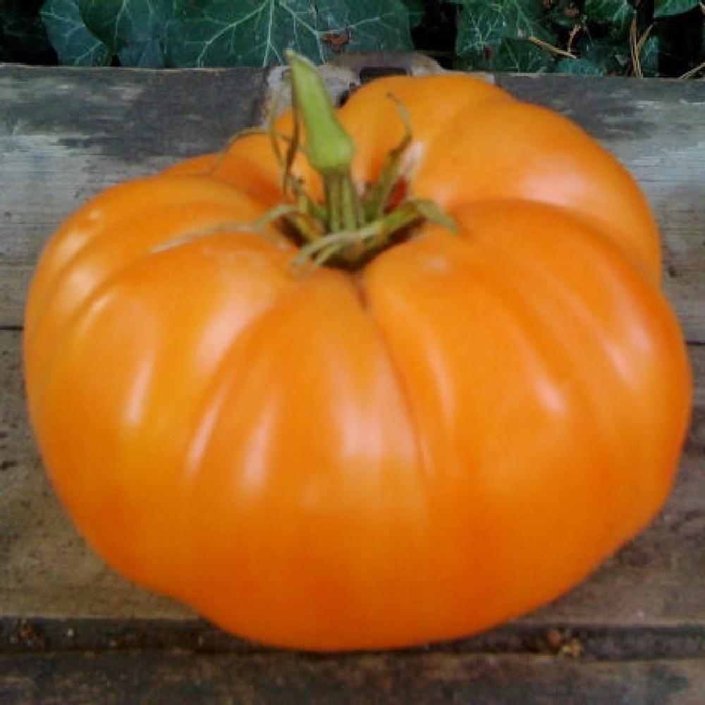 Tomato Seeds (Organic) - Amana Orange