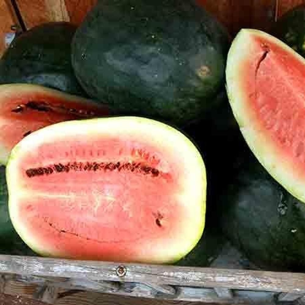 Watermelon Seeds - Black Diamond Yellow Belly