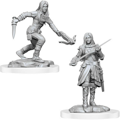D&D Nolzurs Marvelous Miniatures: W17 Half-Elf Rogue Female