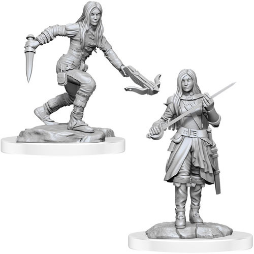 D&D Nolzurs Marvelous Miniatures: W17 Half-Elf Rogue Female