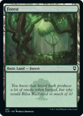 Forest (467) - Foil