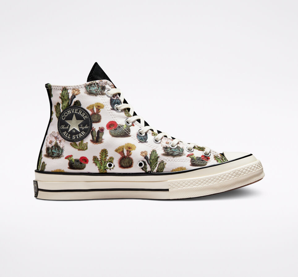Chuck 70 Succulents - A00653C