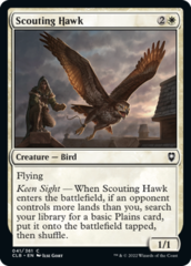 Scouting Hawk - Foil