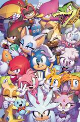 Sonic The Hedgehog #50 Cvr B Evan Stanley (STL226491)