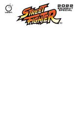 Street Fighter 2022 Swimsuit Special #1 Cvr C Blank Sketch (STL226512)
