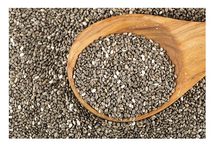 Herb Seeds - Chia (Salvia hispanica)