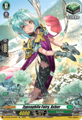 Zypsophila Fairy, Asher - D-BT05/SP23EN - SP
